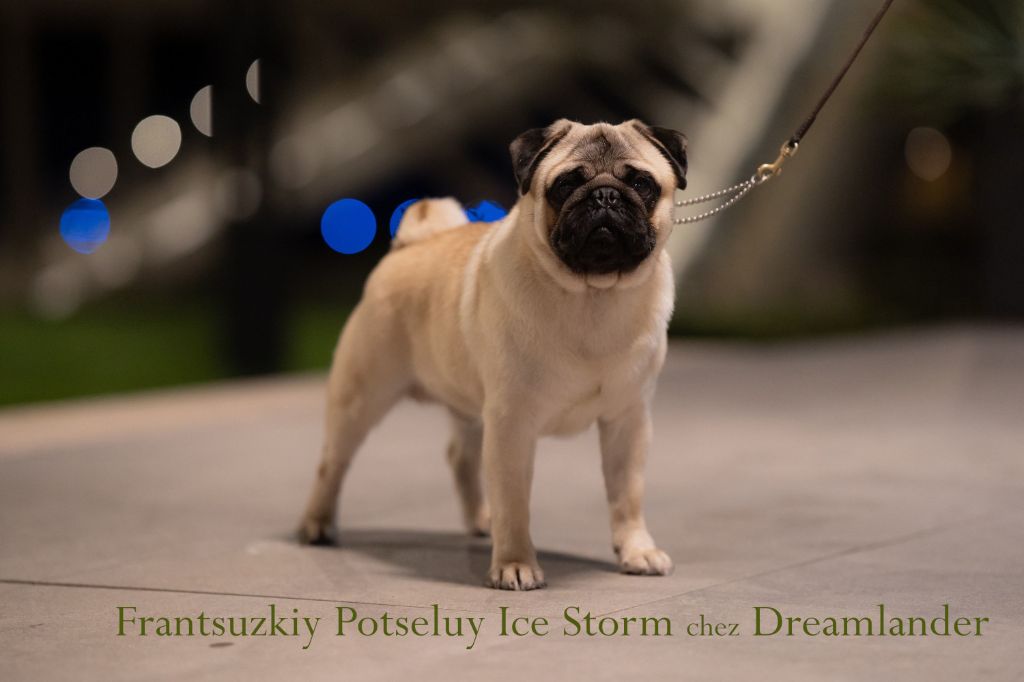 frantsuzkiy potseluy Ice storm